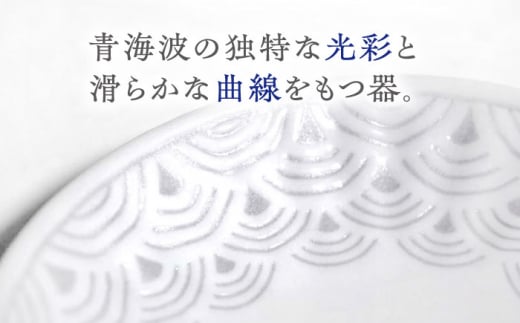 【波佐見焼】青海波グレー プレート ボウル Sサイズ 各5個 計10個【聖栄陶器】[OAR049] / ぼうる 深皿 取り皿 ボウルセット かわいい 食器 波佐見焼 陶器 はさみやき 食器セット おしゃれ 人気 サラダ皿スープ皿 シチュー カレー皿 プレートセット ワンプレート