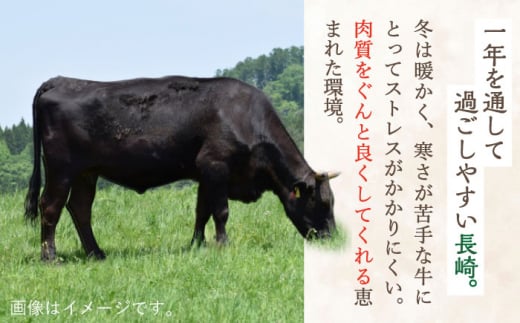 長崎和牛 特選 切り落とし1,200g【川下精肉店】 [OAA017] / すき焼き用肉 焼肉 切り落とし 牛肉 和牛 切り落とし 冷凍 国産牛 きりおとし 国産牛肉 きりおとしにく