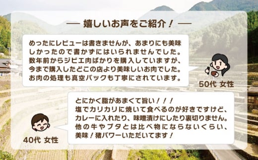 【6回定期便】ジビエ 天然イノシシ肉 バラ肉スライス 1kg【照本食肉加工所】[OAJ053] / 猪 猪肉 いのしし肉 イノシシ イノシシ肉 ジビエ いのしし 長崎県猪 川棚町産猪 ぼたん鍋用いのしし 九州産イノシシ じびえ ジビエ ジビエ肉