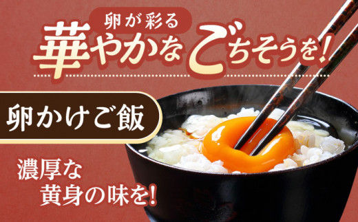 【6回定期便】産みたて新鮮卵 野中のたまご  160個×6回 計960個【野中鶏卵】[OAC011] / 卵 長持ち 濃厚 玉子 濃厚 卵料理 タマゴ 鶏卵 オムレツ 卵かけご飯 卵焼き 