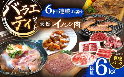 【6回定期便】ジビエ 天然イノシシ肉 バラエティ総量6.0kg【照本食肉加工所】 [OAJ075] / 肉 猪 猪肉 イノシシ イノシシ肉 いのしし しし肉 しし鍋 ボタン鍋 ジビエ