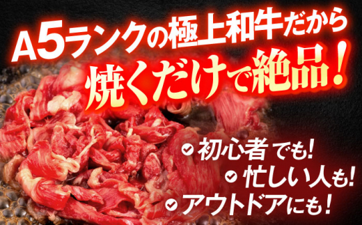 長崎和牛A5ランク 赤身切り落とし（モモ･バラ）（400ｇ）【肉のあいかわ】 [OCH021]