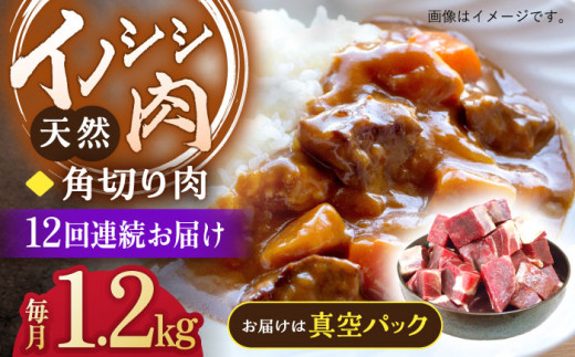 【12回定期便】ジビエ 天然イノシシ肉 角切り肉 1.2kg（カレー・シチュー）【照本食肉加工所】[OAJ066] / 猪 猪肉 いのしし肉 イノシシ イノシシ肉 ジビエ いのしし 長崎県猪 川棚町産猪 ぼたん鍋用いのしし 九州産イノシシ じびえ ジビエ ジビエ肉