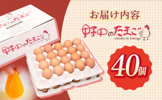 産みたて新鮮卵 野中のたまご  40個【野中鶏卵】[OAC001] / たまご 卵 長持ち 濃厚 玉子 卵料理 タマゴ 鶏卵 オムレツ 卵かけご飯 卵焼き たまご 大容量 