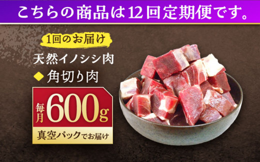【12回定期便】ジビエ 天然イノシシ肉 角切り肉 600g（カレー・シチュー）【照本食肉加工所】 [OAJ046]