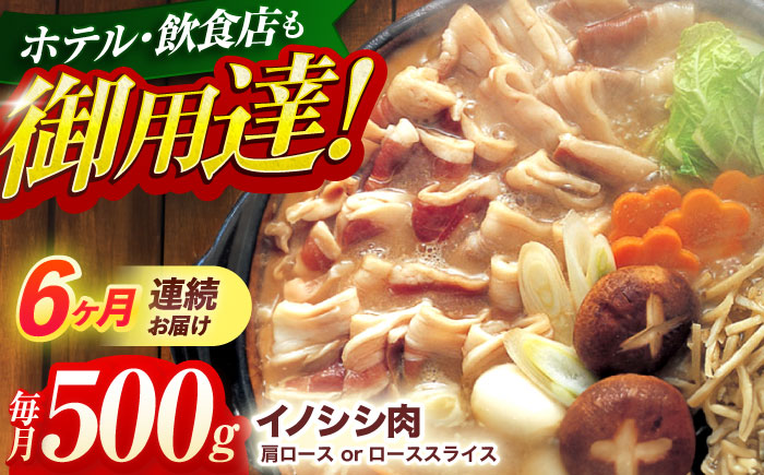 【6回定期便】ジビエ 天然イノシシ肉 肩ロース or ロース スライス500g【照本食肉加工所】 [OAJ043] / 肉 猪 猪肉 イノシシ イノシシ肉 いのしし しし肉 しし鍋 ボタン鍋 ジビエ