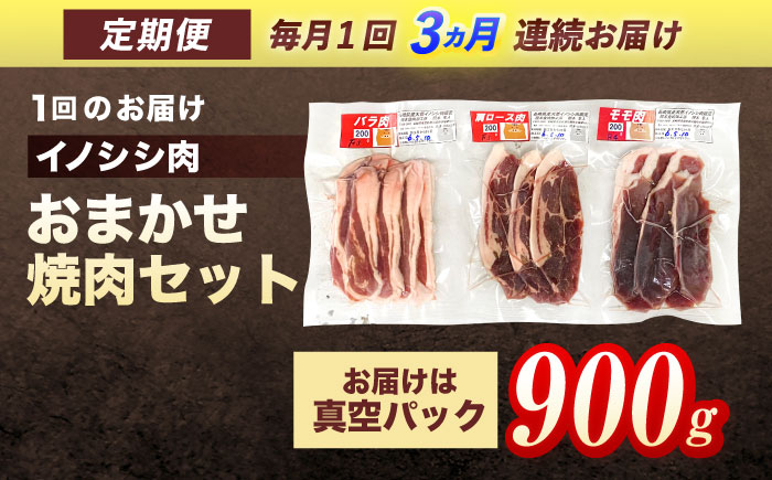 【3回定期便】ジビエ 天然イノシシ肉 おまかせ焼肉セット 900g （ロース・モモ・バラ）【照本食肉加工所】 [OAJ031] / 肉 猪 猪肉 イノシシ イノシシ肉 いのしし しし肉 しし鍋 ボタン鍋 ジビエ