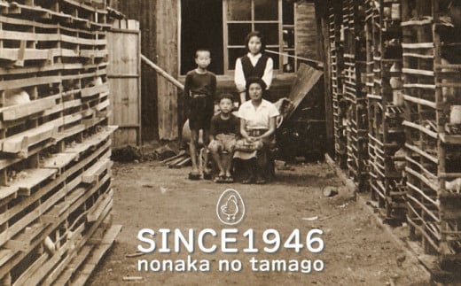 平飼い もみじ の 高級 たまご 新鮮 産みたて卵 20個【野中鶏卵】[OAC014] / 卵 長持ち 濃厚 玉子 濃厚 卵料理 タマゴ 鶏卵 オムレツ 卵かけご飯 卵焼き 