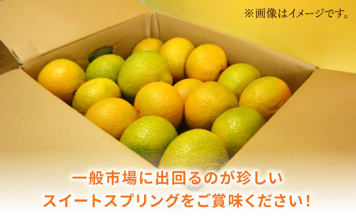 【先行予約】長崎県産 スイートスプリング 9kg 【Mt.Gファーム】[OCX001] / 柑橘 みかん 八朔 はっさく 上田温州みかん スイートスプリング かんきつ 蜜柑 ミカン