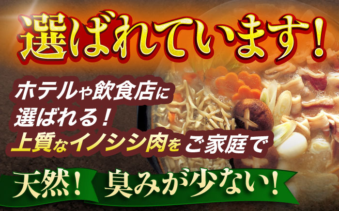 【12回定期便】ジビエ 天然イノシシ肉 肩ロース or ロース スライス750g【照本食肉加工所】 [OAJ057] / 肉 猪 猪肉 イノシシ イノシシ肉 いのしし しし肉 しし鍋 ボタン鍋 ジビエ