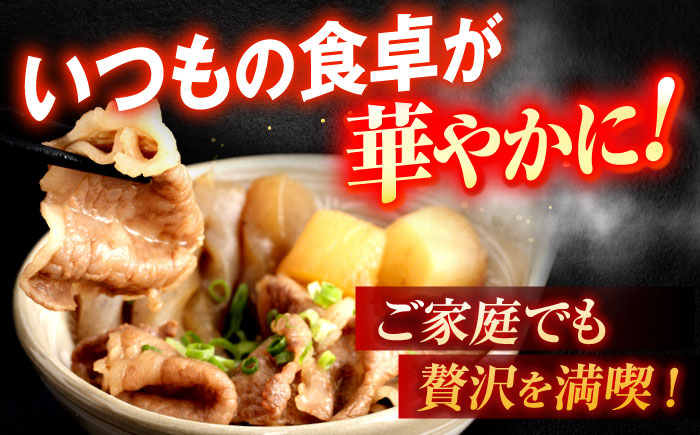 【6回定期便】長崎和牛A5ランク牛ロース小間切れ（400ｇ入）【肉のあいかわ】 [OCH024]