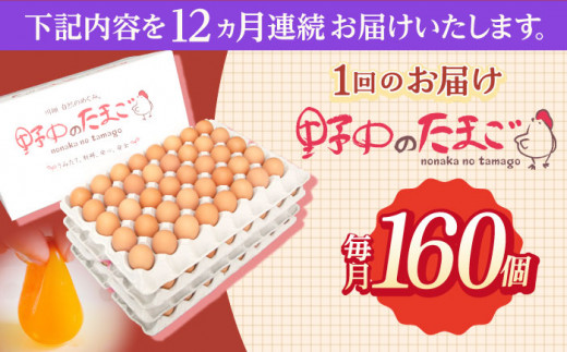 【12回定期便】産みたて新鮮卵 野中のたまご  160個×12回 計1920個【野中鶏卵】[OAC012] / 卵 長持ち 濃厚 玉子 濃厚 卵料理 タマゴ 鶏卵 オムレツ 卵かけご飯 卵焼き 