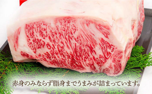 長崎和牛 サーロイン ステーキ 約230g×4枚【川下精肉店】 [OAA007] / 牛肉 冷凍 鉄板焼 長崎県産 和牛 国産牛 すてーき さーろいん にく 肉