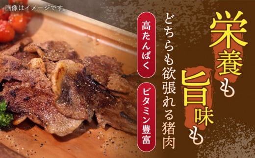 【12回定期便】ジビエ 天然イノシシ肉 角切り肉 800g（カレー・シチュー）【照本食肉加工所】[OAJ063] / 猪 猪肉 いのしし肉 イノシシ イノシシ肉 ジビエ いのしし 長崎県猪 川棚町産猪 ぼたん鍋用いのしし 九州産イノシシ じびえ ジビエ ジビエ肉