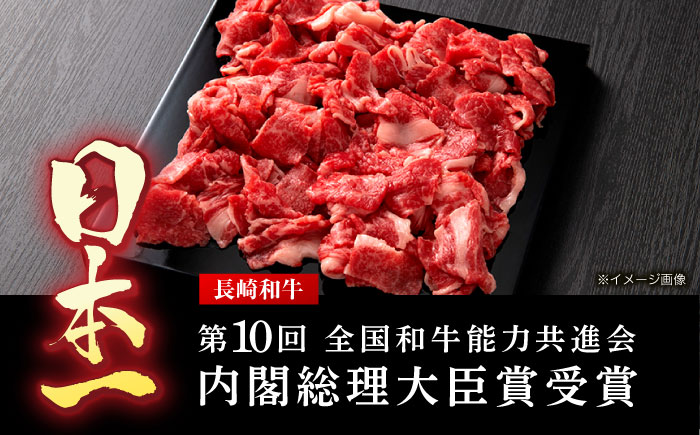 【全12回定期便】長崎和牛 牛肉（肩ロース・ハンバーグ・ローストビーフ）定期便 約10kg【有限会社長崎フードサービス】[OCD026] /  牛肉 定期便  牛肉 定期便 牛肉 定期便