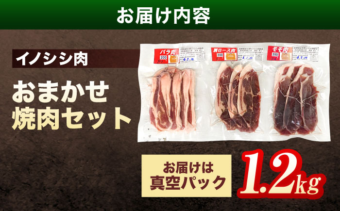 ジビエ 天然イノシシ肉 おまかせ焼肉セット 1.2kg （ロース・モモ・バラ）【照本食肉加工所】 [OAJ006] / 肉 猪 猪肉 イノシシ イノシシ肉 いのしし しし肉 しし鍋 ボタン鍋 ジビエ