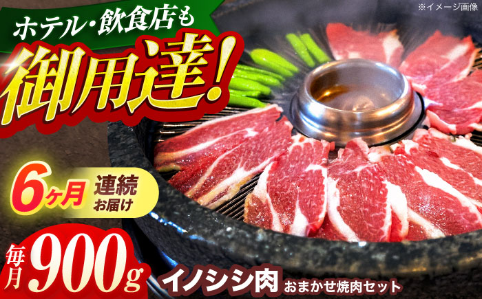 【6回定期便】ジビエ 天然イノシシ肉 おまかせ焼肉セット 900g （ロース・モモ・バラ）【照本食肉加工所】 [OAJ032] / 肉 猪 猪肉 イノシシ イノシシ肉 いのしし しし肉 しし鍋 ボタン鍋 ジビエ