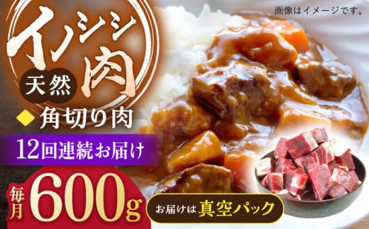 【12回定期便】ジビエ 天然イノシシ肉 角切り肉 600g（カレー・シチュー）【照本食肉加工所】[OAJ046] / 猪 猪肉 いのしし肉 イノシシ イノシシ肉 ジビエ いのしし 長崎県猪 川棚町産猪 ぼたん鍋用いのしし 九州産イノシシ じびえ ジビエ ジビエ肉