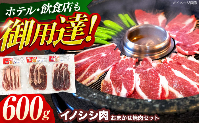 ジビエ 天然イノシシ肉 おまかせ焼肉セット 600g （ロース・モモ・バラ）【照本食肉加工所】 [OAJ004] / 肉 猪 猪肉 イノシシ イノシシ肉 いのしし しし肉 しし鍋 ボタン鍋 ジビエ