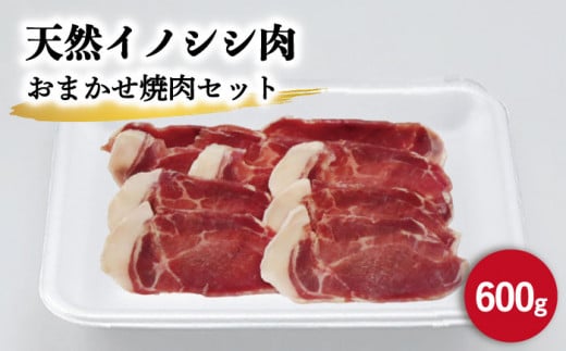 ジビエ 天然イノシシ肉 おまかせ焼肉セット 600g （ロース・モモ・バラ）【照本食肉加工所】[OAJ004] / 猪 猪肉 いのしし肉 イノシシ イノシシ肉 ジビエ いのしし 長崎県猪 川棚町産猪 ぼたん鍋用いのしし 九州産イノシシ じびえ ジビエ ジビエ肉 