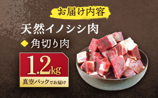 ジビエ 天然イノシシ肉 角切り肉 1.2kg（カレー・シチュー）【照本食肉加工所】 [OAJ015]