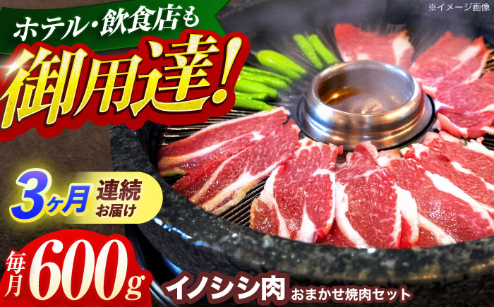 【3回定期便】ジビエ 天然イノシシ肉 おまかせ焼肉セット 600g （ロース・モモ・バラ）【照本食肉加工所】 [OAJ028] / 肉 猪 猪肉 イノシシ イノシシ肉 いのしし しし肉 しし鍋 ボタン鍋 ジビエ