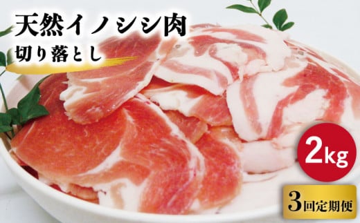 【3回定期便】ジビエ 天然イノシシ肉 切り落とし2kg（ぼたん鍋・煮込料理・野菜炒め用等）【照本食肉加工所】[OAJ022] / 猪 猪肉 いのしし肉 イノシシ イノシシ肉 ジビエ いのしし 長崎県猪 川棚町産猪 ぼたん鍋用いのしし 九州産イノシシ じびえ ジビエ ジビエ肉