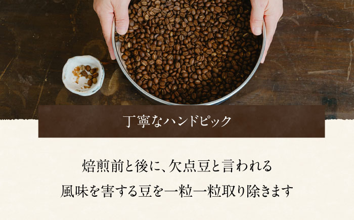 【3回定期便】スペシャルティコーヒー詰め合わせ　150g×2 【海と猫。】 [OCK002]