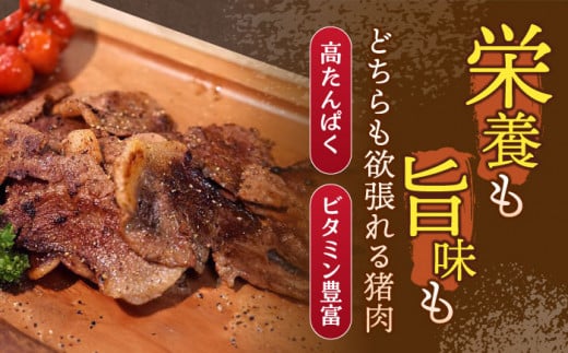 【6回定期便】ジビエ 天然イノシシ肉 バラエティ総量6.0kg【照本食肉加工所】 [OAJ075] / 肉 猪 猪肉 イノシシ イノシシ肉 いのしし しし肉 しし鍋 ボタン鍋 ジビエ