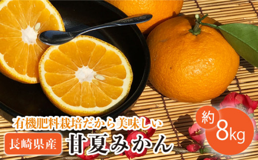 【数量限定】甘夏みかん 有機肥料栽培 約8kg ミカン 柑橘 果物  フルーツ【おだ農園】 [OAG001]（季節もの）