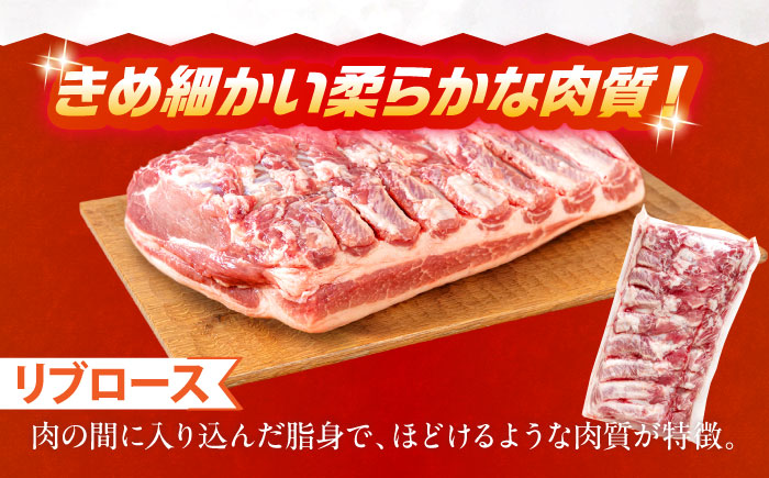 真空冷蔵 豚ロースブロック 約5kg（リブロースとロイン 2種セット）【日本フードパッカー株式会社】 [OCJ001]