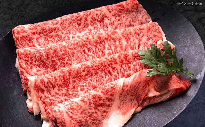 【6回定期便】長崎和牛 すき焼き用赤身スライス (モモ・肩ロース・リブロース)【株式会社 黒牛】 [OCE103]