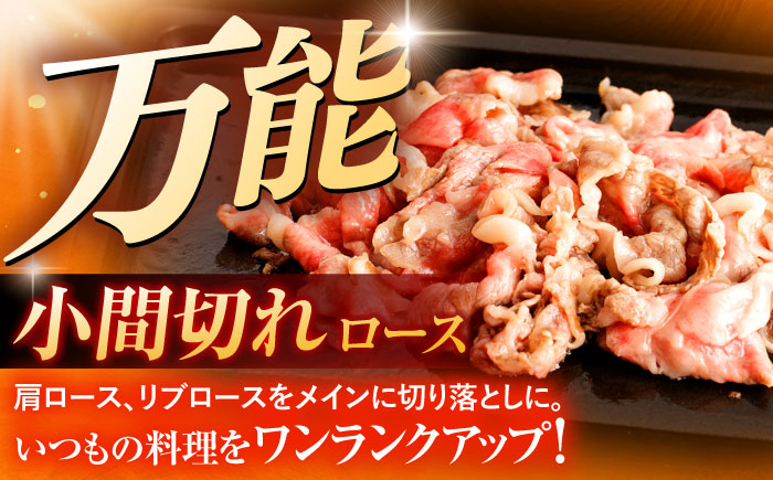 長崎和牛A5ランク ファミリーセット（ロース小間切れ800g＆特選ハンバーグ10個セット）【肉のあいかわ】 [OCH028]