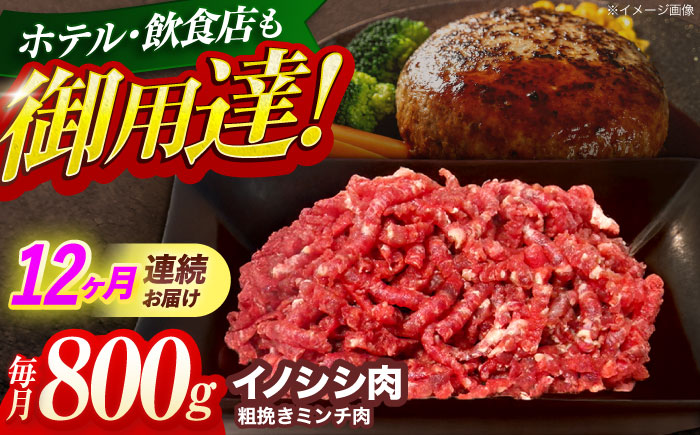 【12回定期便】ジビエ 天然イノシシ肉 粗挽きミンチ肉 800g【照本食肉加工所】 [OAJ069] / 肉 猪 猪肉 イノシシ イノシシ肉 いのしし しし肉 しし鍋 ボタン鍋 ジビエ