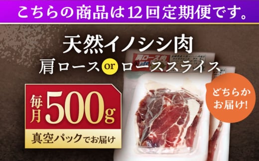 【12回定期便】ジビエ 天然イノシシ肉 肩ロース or ロース スライス500g【照本食肉加工所】[OAJ044] / 猪 猪肉 いのしし肉 イノシシ イノシシ肉 ジビエ いのしし 長崎県猪 川棚町産猪 ぼたん鍋用いのしし 九州産イノシシ じびえ ジビエ ジビエ肉