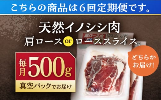 【6回定期便】ジビエ 天然イノシシ肉 肩ロース or ロース スライス500g【照本食肉加工所】[OAJ043] / 猪 猪肉 いのしし肉 イノシシ イノシシ肉 ジビエ いのしし 長崎県猪 川棚町産猪 ぼたん鍋用いのしし 九州産イノシシ じびえ ジビエ ジビエ肉