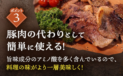 【3回定期便】ジビエ 天然イノシシ肉 人気部位 総量3.65kg【照本食肉加工所】 [OAJ076]