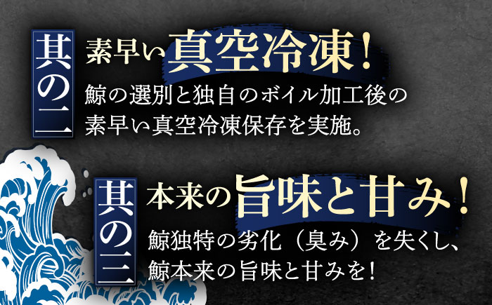 鯨肉2種食べ比べセット(さしみ用赤身ブロック200g・くじらベーコンスライス100g)【中島(鯨)商店】 [OBR016]