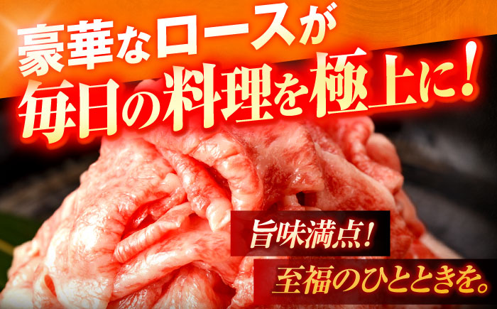 【6回定期便】長崎和牛A5ランク牛ロース小間切れ（400ｇ入）【肉のあいかわ】 [OCH024]