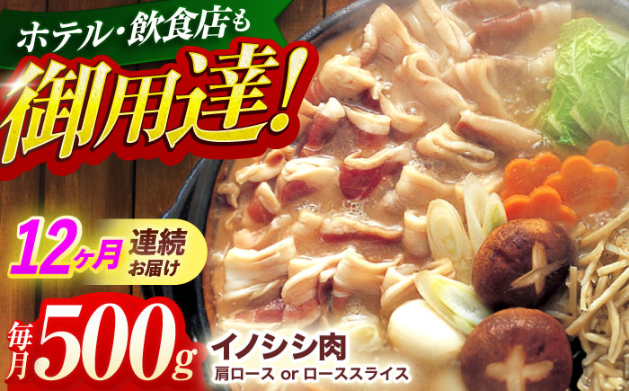 【12回定期便】ジビエ 天然イノシシ肉 肩ロース or ロース スライス500g【照本食肉加工所】 [OAJ044] / 肉 猪 猪肉 イノシシ イノシシ肉 いのしし しし肉 しし鍋 ボタン鍋 ジビエ