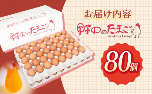 産みたて新鮮卵 野中のたまご  80個【野中鶏卵】[OAC002] / 卵 長持ち 濃厚 玉子 濃厚 卵料理 タマゴ 鶏卵 オムレツ 卵かけご飯 卵焼き 