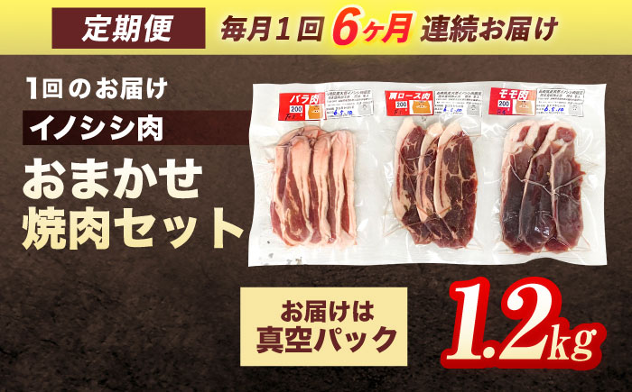 【6回定期便】ジビエ 天然イノシシ肉 おまかせ焼肉セット 1.2kg （ロース・モモ・バラ）【照本食肉加工所】 [OAJ035] / 肉 猪 猪肉 イノシシ イノシシ肉 いのしし しし肉 しし鍋 ボタン鍋 ジビエ