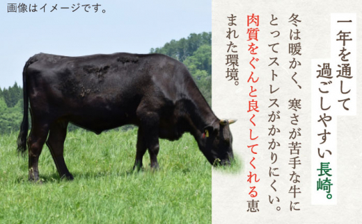 【3回定期便】脂身たっぷり♪ 長崎和牛 バラエティ 部位 セット 毎回500g×3回【川下精肉店】 [OAA022] / 牛肉 和牛 希少 長崎 部位 焼肉 ステーキ 切り落とし ＢＢＱ セット 詰合わせ