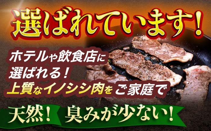 【12回定期便】ジビエ 天然イノシシ肉 切り落とし3kg（ぼたん鍋・煮込料理・野菜炒め用等）【照本食肉加工所】 [OAJ027] / 肉 猪 猪肉 イノシシ イノシシ肉 いのしし しし肉 しし鍋 ボタン鍋 ジビエ