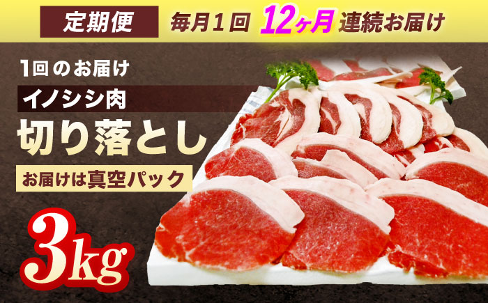 【12回定期便】ジビエ 天然イノシシ肉 切り落とし3kg（ぼたん鍋・煮込料理・野菜炒め用等）【照本食肉加工所】 [OAJ027] / 肉 猪 猪肉 イノシシ イノシシ肉 いのしし しし肉 しし鍋 ボタン鍋 ジビエ