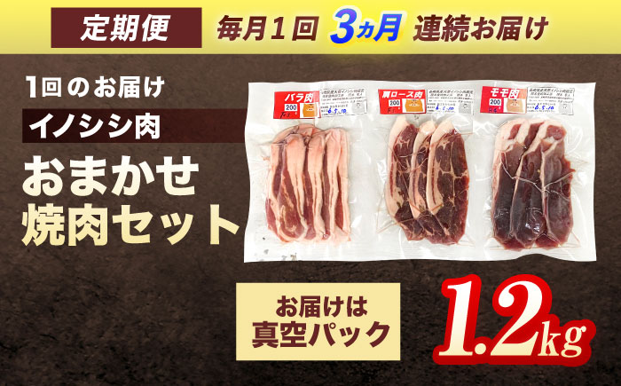 【3回定期便】ジビエ 天然イノシシ肉 おまかせ焼肉セット 1.2kg （ロース・モモ・バラ）【照本食肉加工所】 [OAJ034] / 肉 猪 猪肉 イノシシ イノシシ肉 いのしし しし肉 しし鍋 ボタン鍋 ジビエ