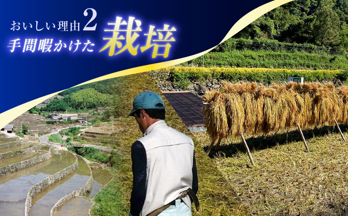 【12回定期便】虚空蔵の清流水で育った棚田米『ひなた米』 10kg (5kg ×2袋) 【木場中山間管理組合】 [OCM056]