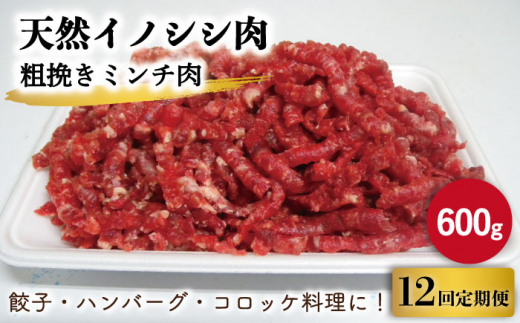 【12回定期便】ジビエ 天然イノシシ肉 粗挽きミンチ肉 600g【照本食肉加工所】 [OAJ048]