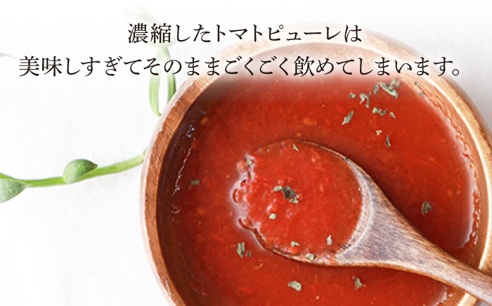 【3回定期便】小串トマトの濃縮150％ピューレ「OGUSHI」15本セット【草加家】 [OBH010]