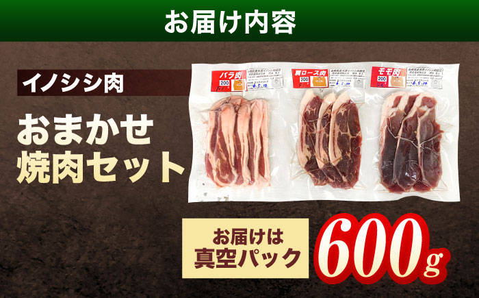 ジビエ 天然イノシシ肉 おまかせ焼肉セット 600g （ロース・モモ・バラ）【照本食肉加工所】 [OAJ004] / 肉 猪 猪肉 イノシシ イノシシ肉 いのしし しし肉 しし鍋 ボタン鍋 ジビエ